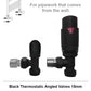 400 x 1000mm Black Heated Towel Rail Radiator | Central Heating 19mm Tube 