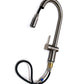 Chrome Pull-Out Kitchen Mixer - Stainless Steel (360°, Dual Spray) Model Kpy 30181 